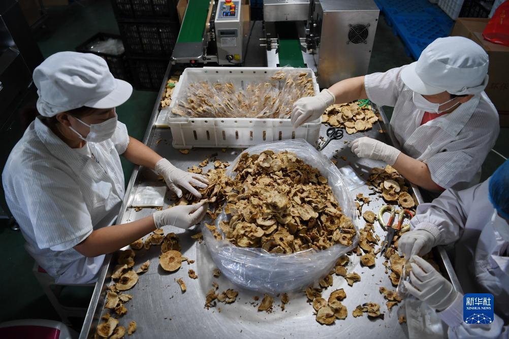 乐谷游戏送十万金币